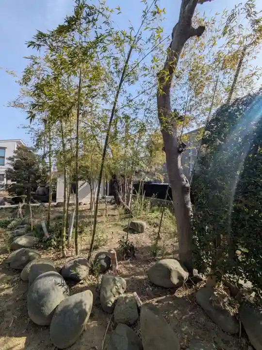 弘善寺(東京都)