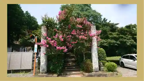 崇禅寺(群馬県)