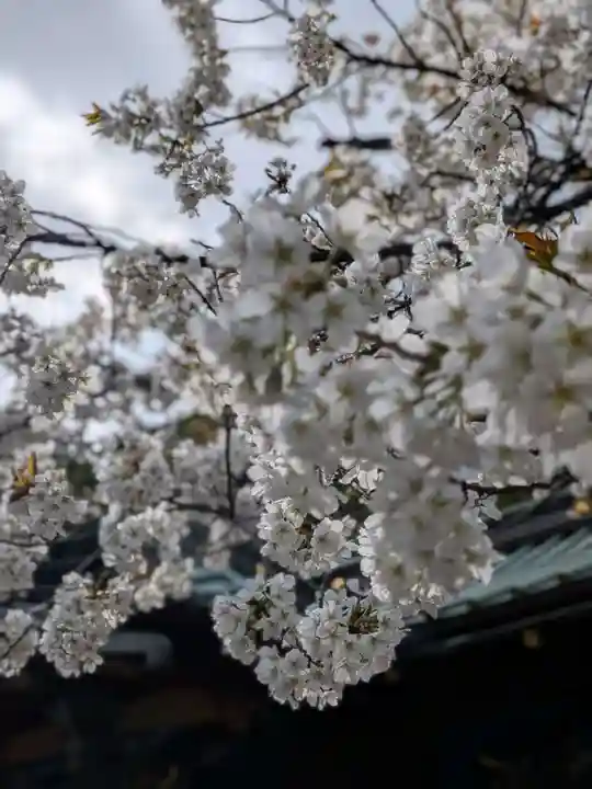 金王八幡宮(東京都)