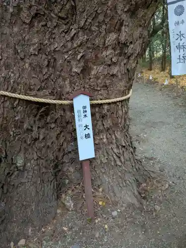 白鬚神社の{uncategorized: "未分類", other: "その他", undefined: "問題あり", building: "その他建物", grave: "お墓", sacred_gate: "鳥居", guardian: "狛犬", statue: "像", buddha: "仏像", history: "歴史", nature: "自然", garden: "庭園", animal: "動物", pagoda: "塔", temizu: "手水舎", mountain_gate: "山門・神門", sanctuary: "本殿・本堂", subordinate: "末社・摂社", art: "芸術", scenery: "景色", jizo: "地蔵", ema: "絵馬", goshuin: "御朱印", omikuji: "おみくじ", items: "授与品その他", amulet: "お守り", goshuincho: "御朱印帳", eats: "食事", festival: "お祭り", votive_dance: "神楽", shichigosan: "七五三参", wedding: "結婚式", experience: "体験その他", initially: "初詣", around: "周辺", anti_infection: "感染症対策"}