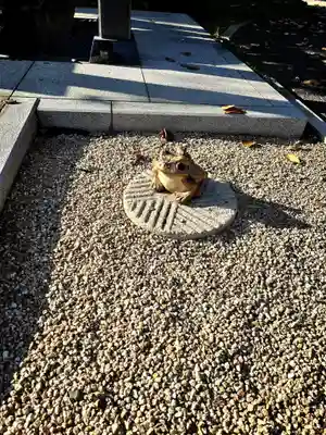 常源寺のその他建物