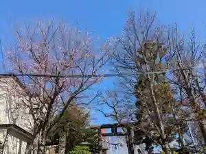 手稲神社(北海道)(2023年04月18日(火) 11時11分08秒投稿)