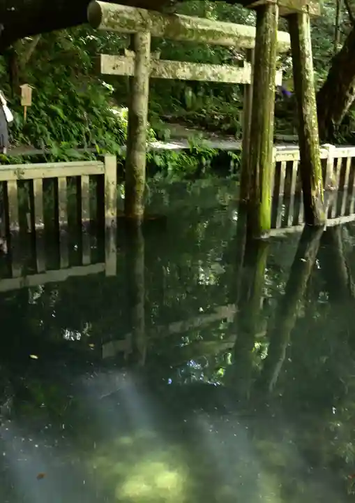 奥宮(鹿島神宮摂社)(茨城県)