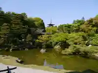 仁和寺の庭園