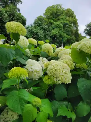 性海寺(愛知県)