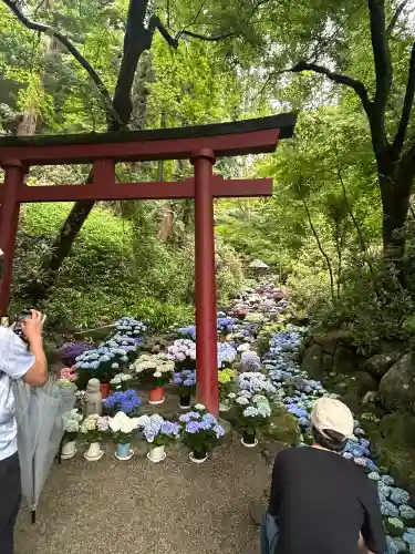 岡寺（龍蓋寺）(奈良県)