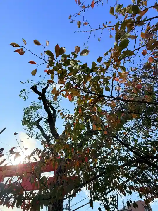 生田神社兵庫宮御旅所(兵庫県)