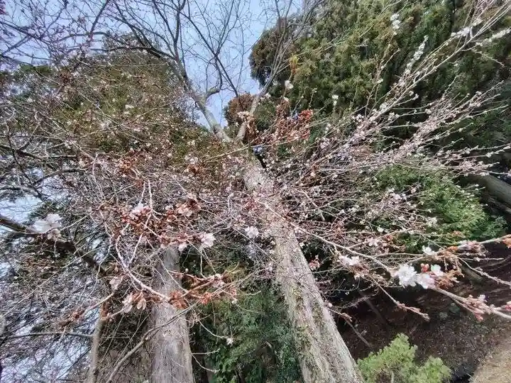 鹿島大神宮(福島県)