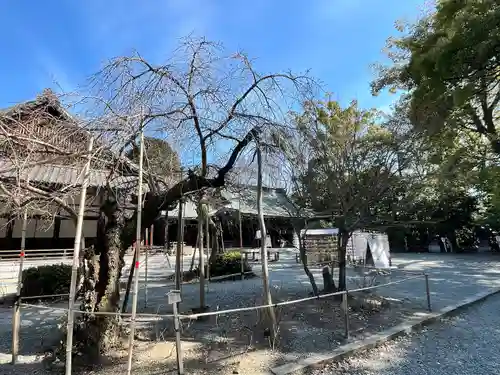 水無瀬神宮(大阪府)