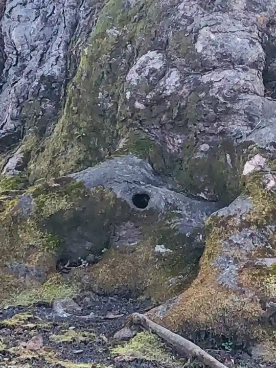 秩父今宮神社の自然
