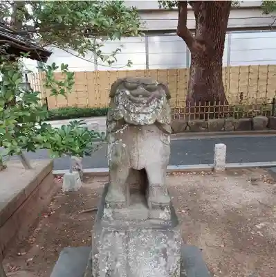 葛飾八幡宮の狛犬