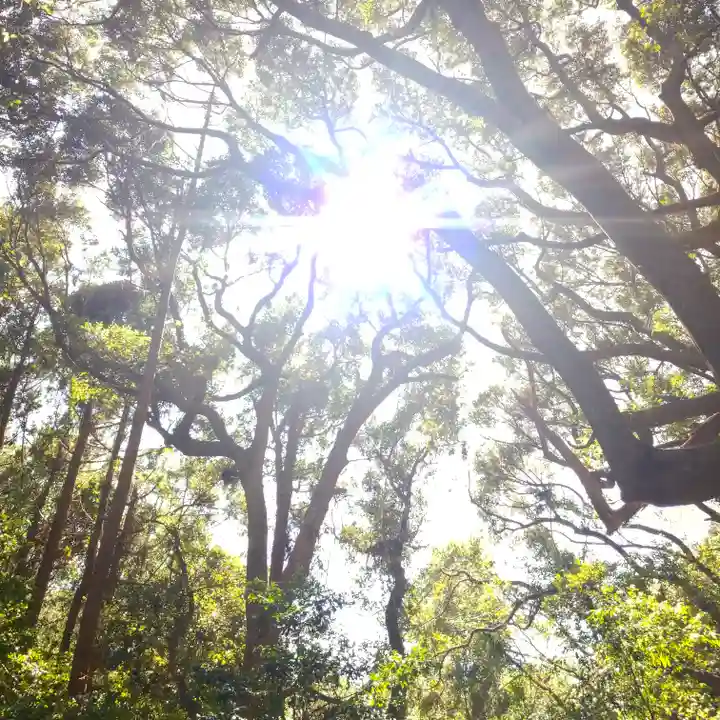 沼尾神社の自然