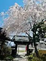 長光寺(長野県)