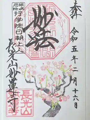 紅梅