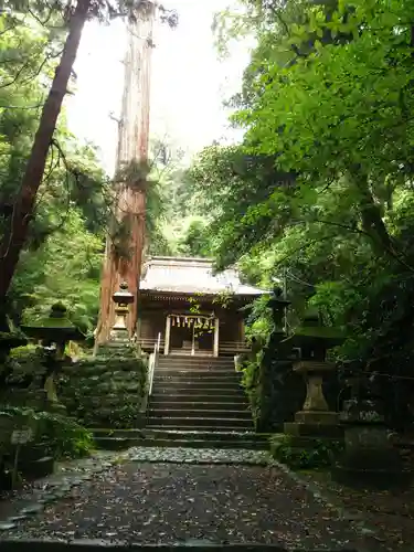 八幡宮來宮神社の本殿