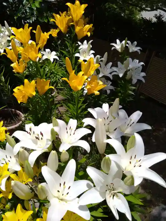 筥崎宮(福岡県)