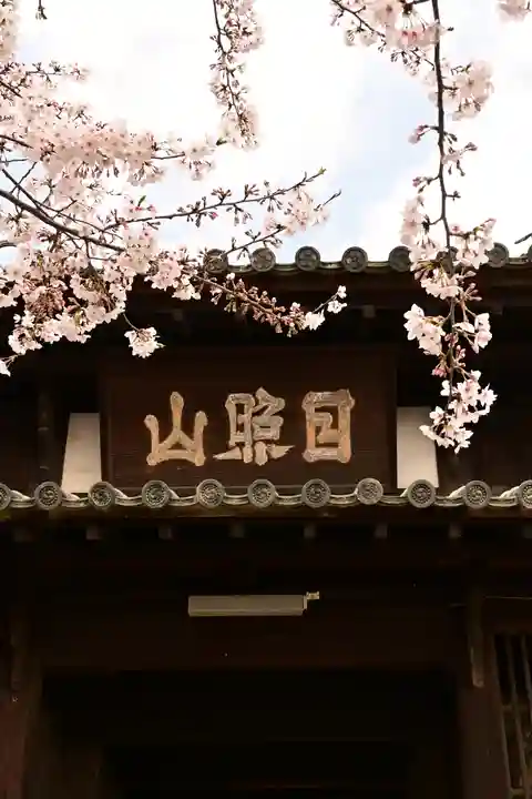 海禅寺(愛媛県)