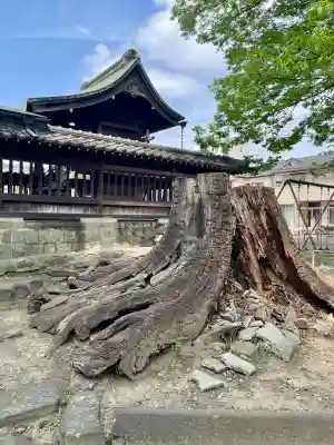 千形神社(埼玉県)