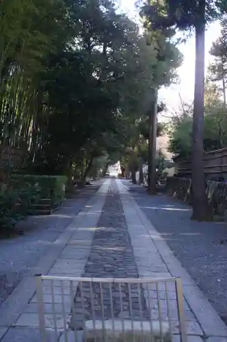 大徳寺(京都府)