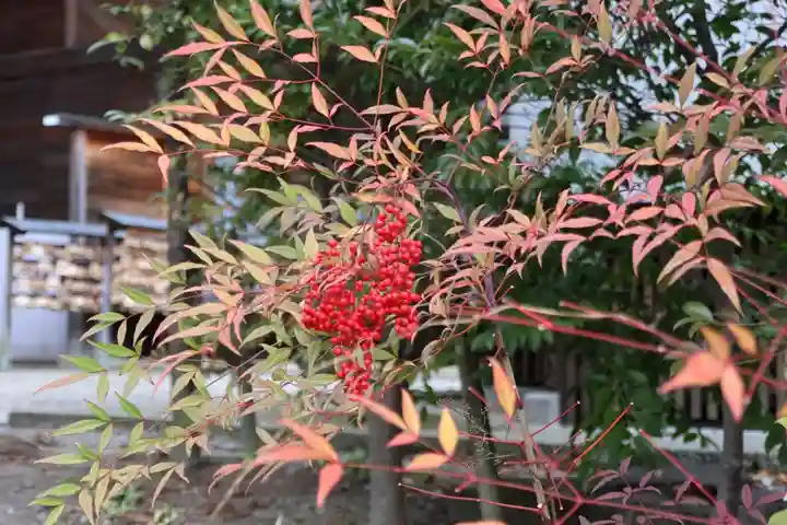 開成山大神宮の庭園