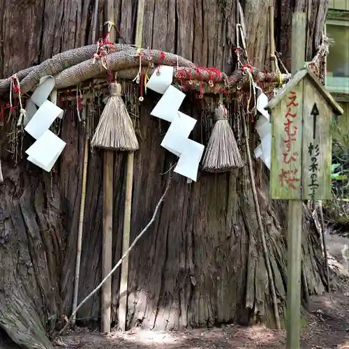 磐椅神社の自然