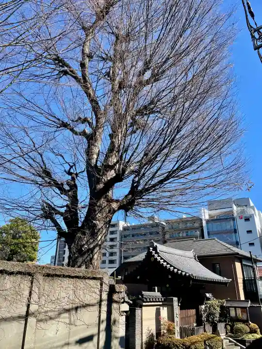 大泉寺の{uncategorized: "未分類", other: "その他", undefined: "問題あり", building: "その他建物", grave: "お墓", sacred_gate: "鳥居", guardian: "狛犬", statue: "像", buddha: "仏像", history: "歴史", nature: "自然", garden: "庭園", animal: "動物", pagoda: "塔", temizu: "手水舎", mountain_gate: "山門・神門", sanctuary: "本殿・本堂", subordinate: "末社・摂社", art: "芸術", scenery: "景色", jizo: "地蔵", ema: "絵馬", goshuin: "御朱印", omikuji: "おみくじ", items: "授与品その他", amulet: "お守り", goshuincho: "御朱印帳", eats: "食事", festival: "お祭り", votive_dance: "神楽", shichigosan: "七五三参", wedding: "結婚式", experience: "体験その他", initially: "初詣", around: "周辺", anti_infection: "感染症対策"}