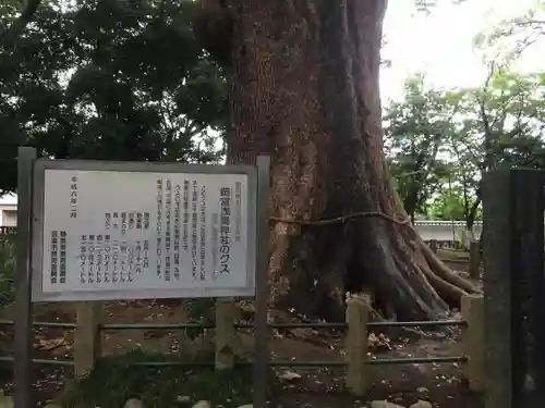 浅間神社の歴史