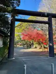 大宝八幡宮の鳥居