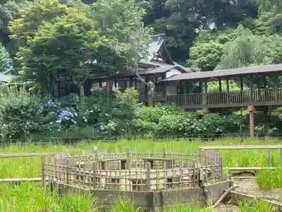 本土寺(千葉県)