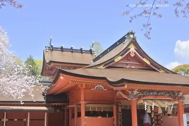 富士山本宮浅間大社(静岡県)