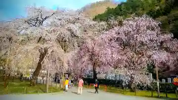 清雲寺の{uncategorized: "未分類", other: "その他", undefined: "問題あり", building: "その他建物", grave: "お墓", sacred_gate: "鳥居", guardian: "狛犬", statue: "像", buddha: "仏像", history: "歴史", nature: "自然", garden: "庭園", animal: "動物", pagoda: "塔", temizu: "手水舎", mountain_gate: "山門・神門", sanctuary: "本殿・本堂", subordinate: "末社・摂社", art: "芸術", scenery: "景色", jizo: "地蔵", ema: "絵馬", goshuin: "御朱印", omikuji: "おみくじ", items: "授与品その他", amulet: "お守り", goshuincho: "御朱印帳", eats: "食事", festival: "お祭り", votive_dance: "神楽", shichigosan: "七五三参", wedding: "結婚式", experience: "体験その他", initially: "初詣", around: "周辺", anti_infection: "感染症対策"}