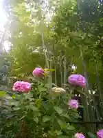 蛇苦止明神(蛇苦止堂)の自然