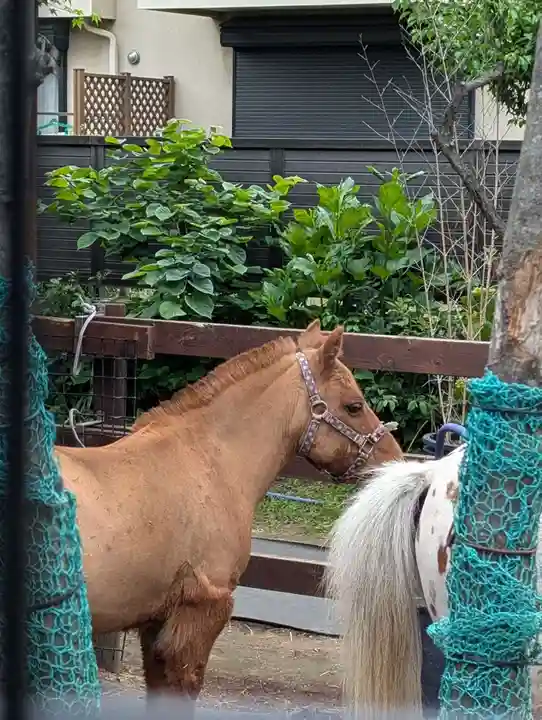 五方山熊野神社(東京都)