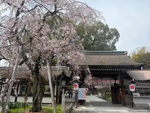 平野神社(京都府)