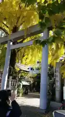 波除神社（波除稲荷神社）の鳥居