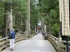 高野山金剛峯寺奥の院(和歌山県)