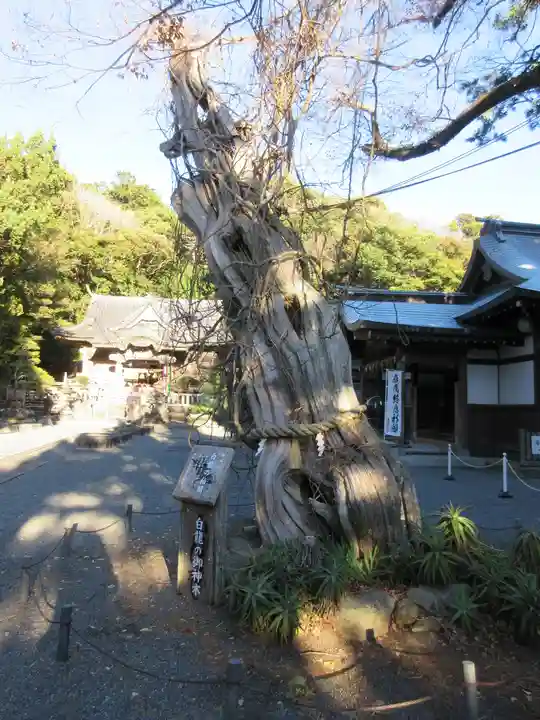 伊古奈比咩命神社のその他建物