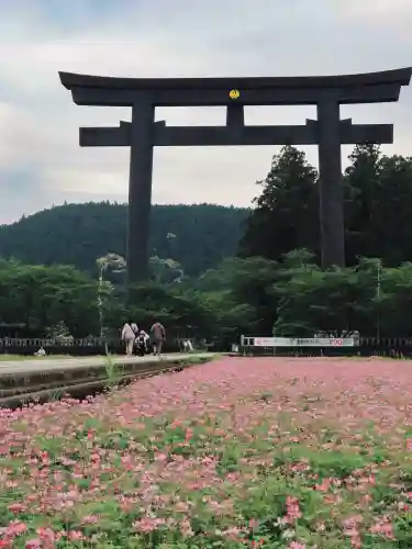 熊野本宮大社の{uncategorized: "未分類", other: "その他", undefined: "問題あり", building: "その他建物", grave: "お墓", sacred_gate: "鳥居", guardian: "狛犬", statue: "像", buddha: "仏像", history: "歴史", nature: "自然", garden: "庭園", animal: "動物", pagoda: "塔", temizu: "手水舎", mountain_gate: "山門・神門", sanctuary: "本殿・本堂", subordinate: "末社・摂社", art: "芸術", scenery: "景色", jizo: "地蔵", ema: "絵馬", goshuin: "御朱印", omikuji: "おみくじ", items: "授与品その他", amulet: "お守り", goshuincho: "御朱印帳", eats: "食事", festival: "お祭り", votive_dance: "神楽", shichigosan: "七五三参", wedding: "結婚式", experience: "体験その他", initially: "初詣", around: "周辺", anti_infection: "感染症対策"}