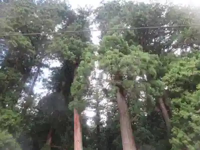 室生龍穴神社(奈良県)