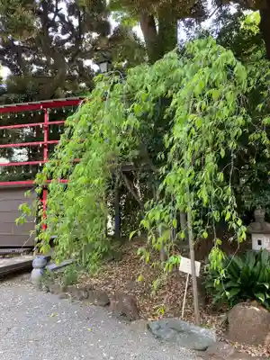 居木神社の自然