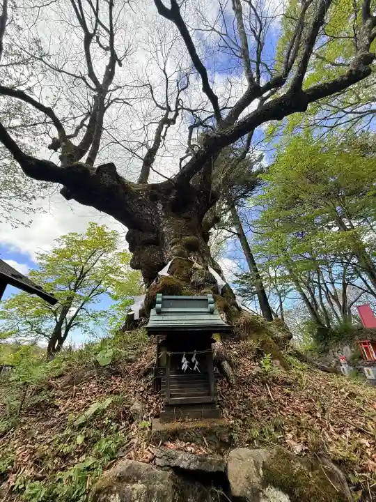 熊野皇大神社の{uncategorized: "未分類", other: "その他", undefined: "問題あり", building: "その他建物", grave: "お墓", sacred_gate: "鳥居", guardian: "狛犬", statue: "像", buddha: "仏像", history: "歴史", nature: "自然", garden: "庭園", animal: "動物", pagoda: "塔", temizu: "手水舎", mountain_gate: "山門・神門", sanctuary: "本殿・本堂", subordinate: "末社・摂社", art: "芸術", scenery: "景色", jizo: "地蔵", ema: "絵馬", goshuin: "御朱印", omikuji: "おみくじ", items: "授与品その他", amulet: "お守り", goshuincho: "御朱印帳", eats: "食事", festival: "お祭り", votive_dance: "神楽", shichigosan: "七五三参", wedding: "結婚式", experience: "体験その他", initially: "初詣", around: "周辺", anti_infection: "感染症対策"}
