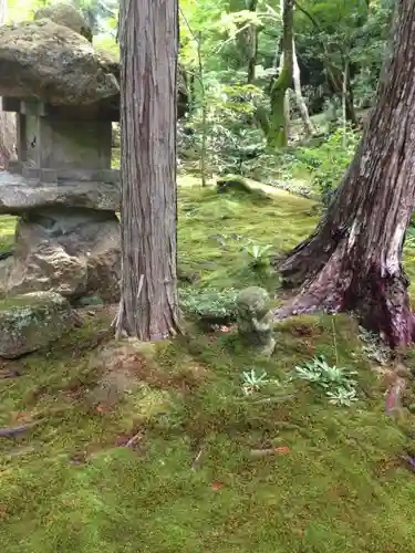 三千院門跡の庭園