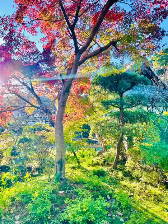 浄光明寺(神奈川県)