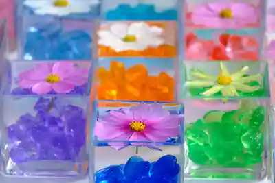 般若寺 ❁﻿コスモス寺❁(奈良県)