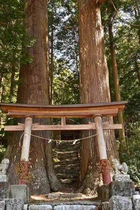 三所神社(桑の川の大杉)(高知県)