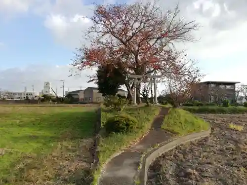 蛭子神社の建物その他