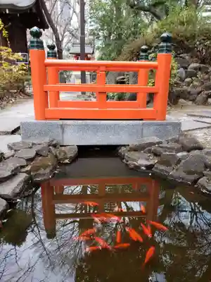 熊野神社(東京都)