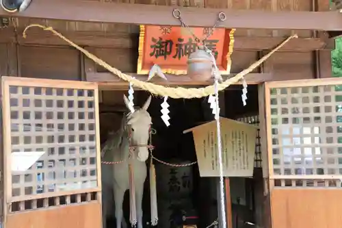 三春大神宮の狛犬