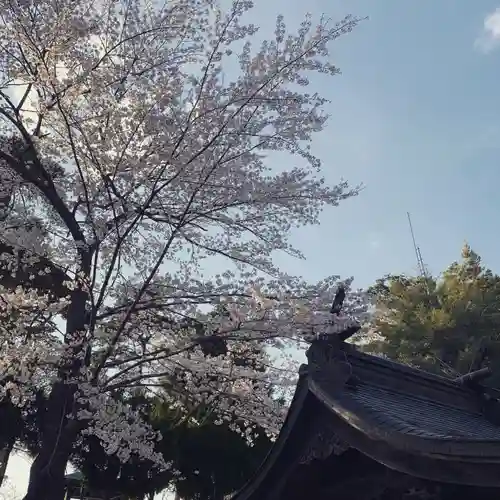 豊景神社の自然