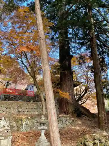 金櫻神社(山梨県)